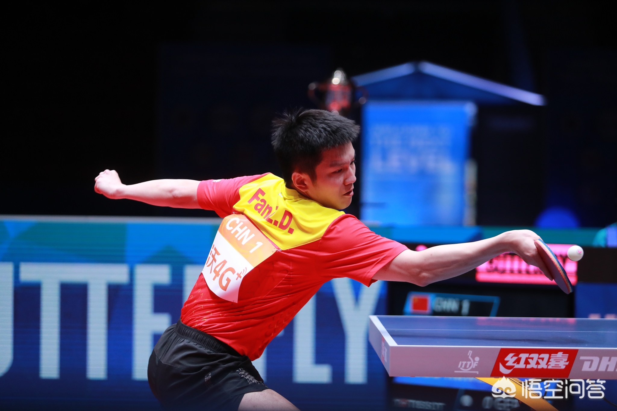 韧性的不断 韧性的不断